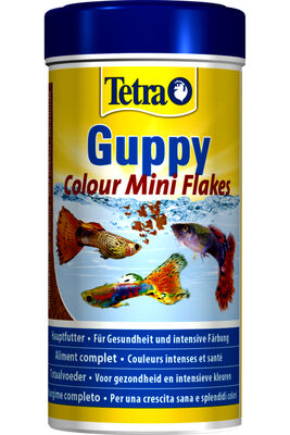 Tetra - Tetra Guppy Colour Mini Flakes Lepistes Pul Balık Yemi - 250ML
