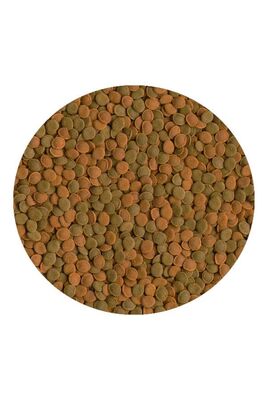 Tetra - Tetra Wafermix Vatoz Yemi 15 gr Balık Yemi