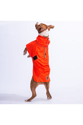 Pawstar - Pawstar Turuncu Colombia Orta ve Büyük Irk Köpek Yağmurluğu Köpek Kıyafeti Köpek Elbisesi L