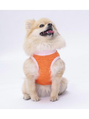 Pawstar - Pawstar Turuncu Joy Kedi Köpek Tişörtü - Kedi Köpek Kıyafeti