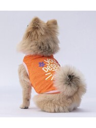 Pawstar Turuncu Joy Kedi Köpek Tişörtü - Kedi Köpek Kıyafeti - Thumbnail