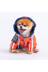 Turuncu-lacivert Bicolor Köpek Tulum Yağmurluğu Köpek Yağmurluk Köpek Kıyafeti Köpek Elbisesi M - Thumbnail