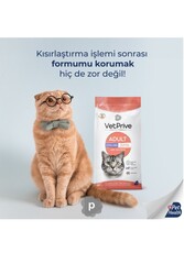 VetPrive Sterilised Somonlu Kısır Kedi Maması 1.5 Kg - Thumbnail