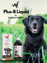 WhiteVeterinay Köpekler İçin Deri Ve Tüy Sağlığı Destekleyici B Vitamini Plus-B Liquid 100 ml - Thumbnail