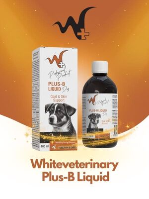 WhiteVeterinay - WhiteVeterinay Köpekler İçin Deri Ve Tüy Sağlığı Destekleyici B Vitamini Plus-B Liquid 100 ml