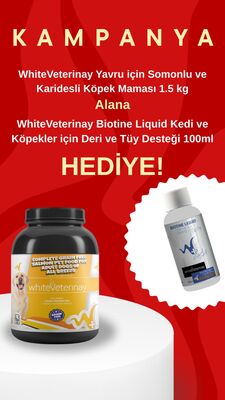 WhiteVeterinay - Whiteveterinay Tahılsız Yetişkin Köpekler İçin Somonlu Köpek Maması 1,5 Kg (Biotine Likit Hediyeli)